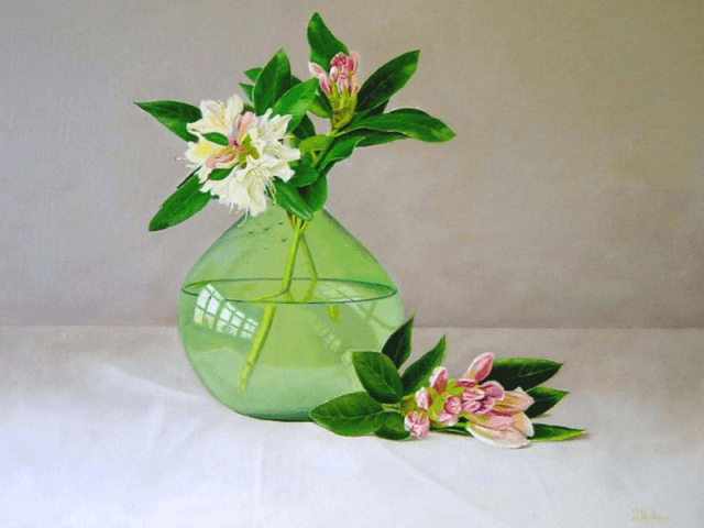 Rhododendron in vaas