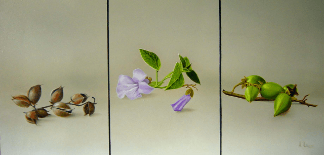 Drieluik Paulownia 3 jaargetijdenaneel