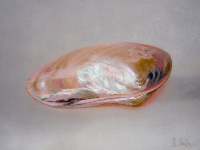 Schelp