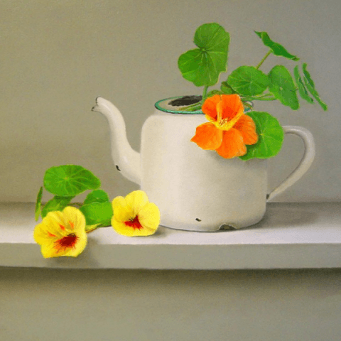 Emaille theepot met oostindische kers