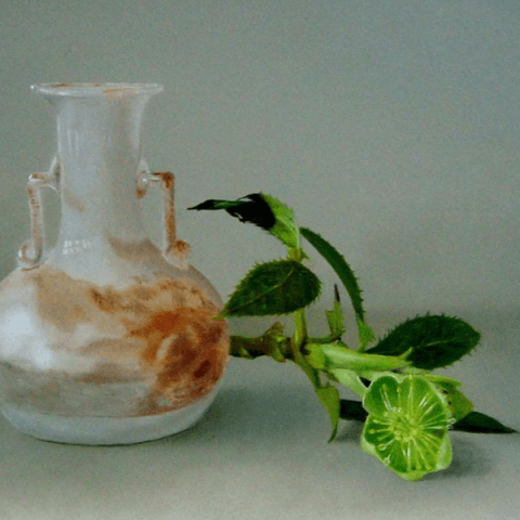 Romeins glas en helleborus