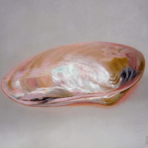 Schelp