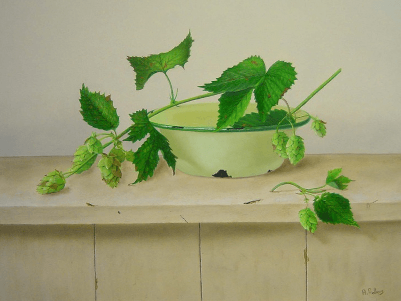 Groen schaaltje met hop