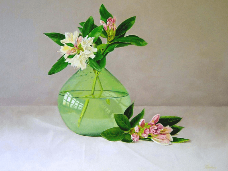 Rhododendron in vaas