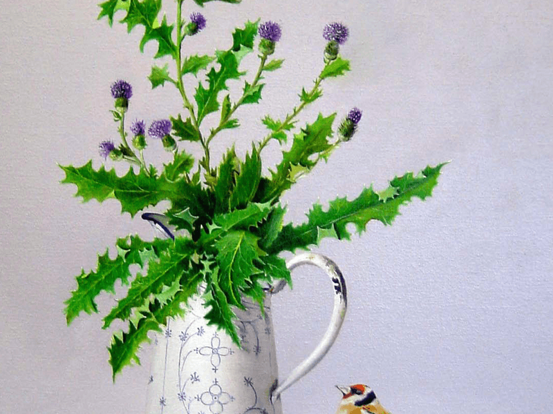 Distel met distelvink